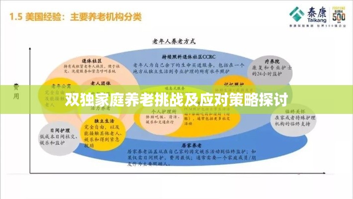 双独家庭养老挑战及应对策略探讨