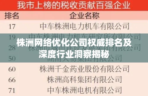 株洲网络优化公司权威排名及深度行业洞察揭秘