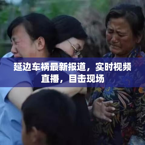 延边车祸最新报道，实时视频直播，目击现场
