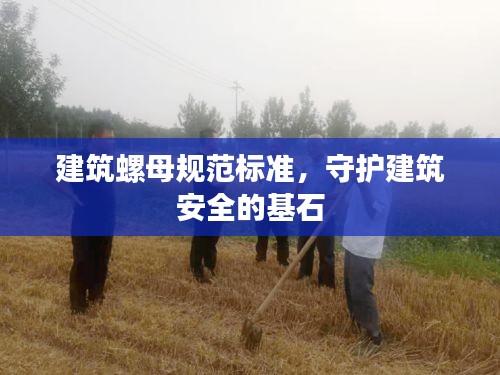 建筑螺母规范标准，守护建筑安全的基石