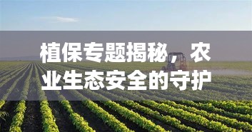 植保专题揭秘，农业生态安全的守护者