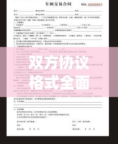 双方协议格式全面解读，要点、细节与应用指南