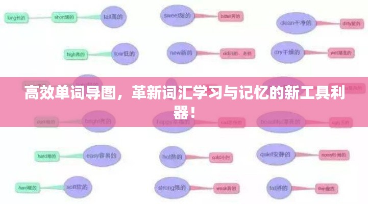 高效单词导图，革新词汇学习与记忆的新工具利器！