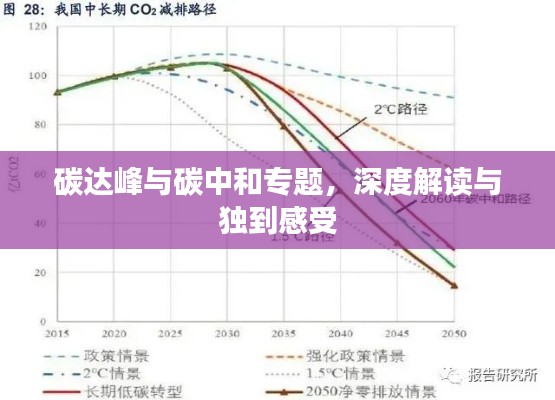 惊弓之鸟