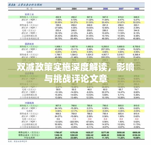 双减政策实施深度解读，影响与挑战评论文章