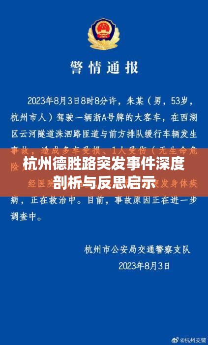 杭州德胜路突发事件深度剖析与反思启示