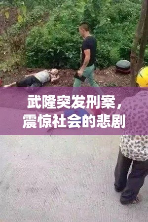 物离乡贵