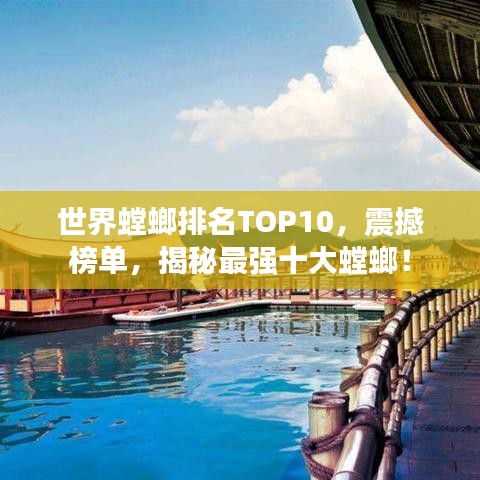 世界螳螂排名TOP10，震撼榜单，揭秘最强十大螳螂！