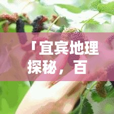 「宜宾地理探秘，百度宜宾市地图，一览山水美景」