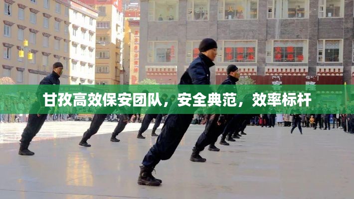 甘孜高效保安团队，安全典范，效率标杆