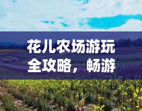 花儿农场游玩全攻略，畅游花海，尽享田园乐趣！