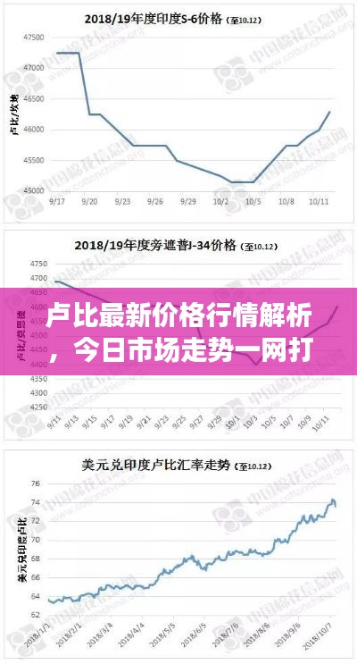 卢比最新价格行情解析，今日市场走势一网打尽！
