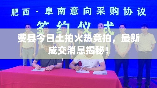 费县今日土拍火热竞拍，最新成交消息揭秘！