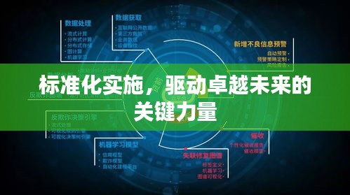 标准化实施，驱动卓越未来的关键力量