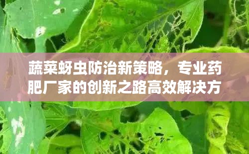 蔬菜蚜虫防治新策略，专业药肥厂家的创新之路高效解决方案