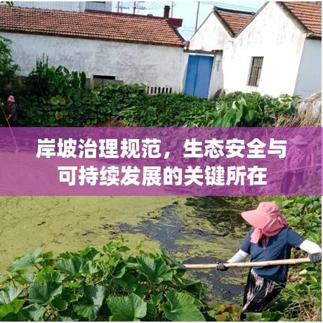 岸坡治理规范，生态安全与可持续发展的关键所在