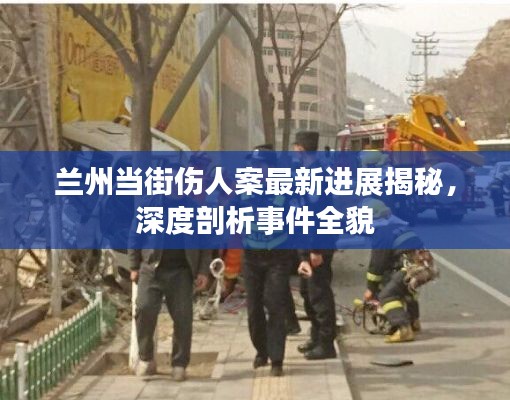 兰州当街伤人案最新进展揭秘，深度剖析事件全貌