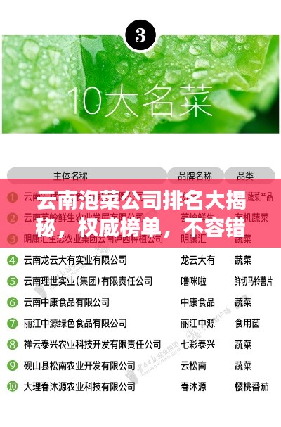 云南泡菜公司排名大揭秘，权威榜单，不容错过！