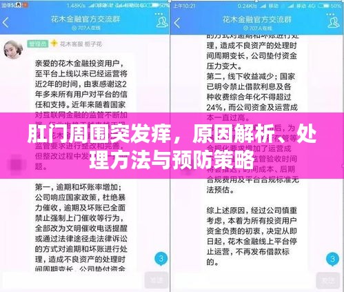漫天飞舞