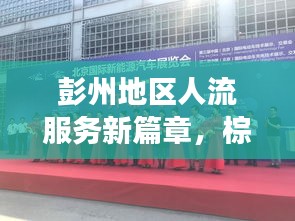 栖鸟于泉