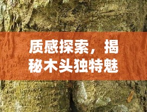 质感探索，揭秘木头独特魅力的奥秘