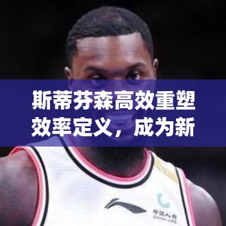 斯蒂芬森高效重塑效率定义，成为新标杆！