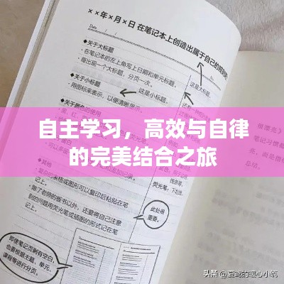 自主学习，高效与自律的完美结合之旅