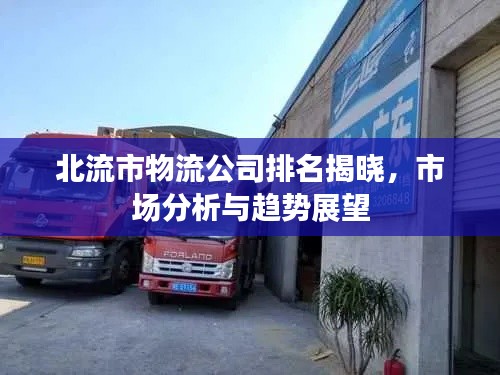北流市物流公司排名揭晓，市场分析与趋势展望