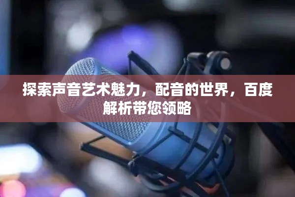 坚持不懈