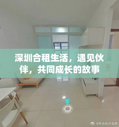深圳合租生活，遇见伙伴，共同成长的故事