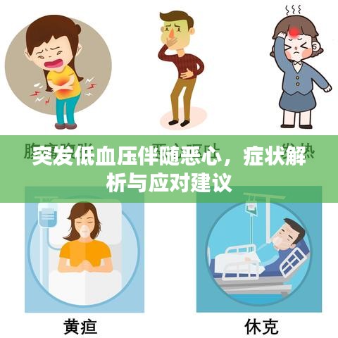 突发低血压伴随恶心，症状解析与应对建议