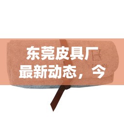 东莞皮具厂最新动态，今日新闻头条揭秘！