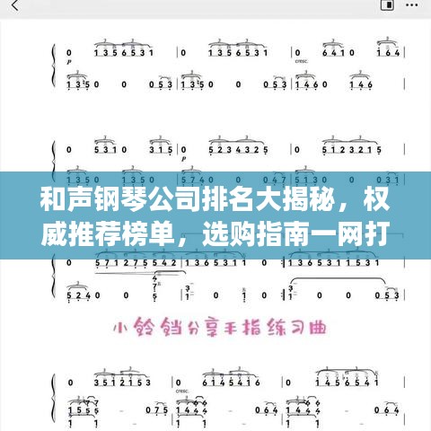 和声钢琴公司排名大揭秘，权威推荐榜单，选购指南一网打尽！