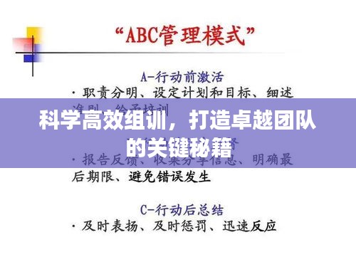 科学高效组训，打造卓越团队的关键秘籍