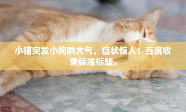 小猫突发小狗喘大气，症状惊人！百度收录标准标题。