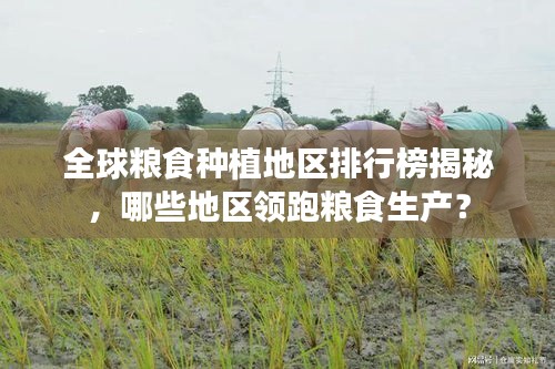 全球粮食种植地区排行榜揭秘，哪些地区领跑粮食生产？