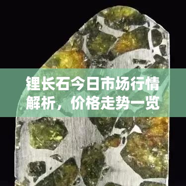锂长石今日市场行情解析，价格走势一览