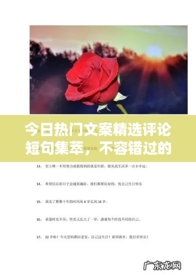 今日热门文案精选评论短句集萃，不容错过的吸睛语句