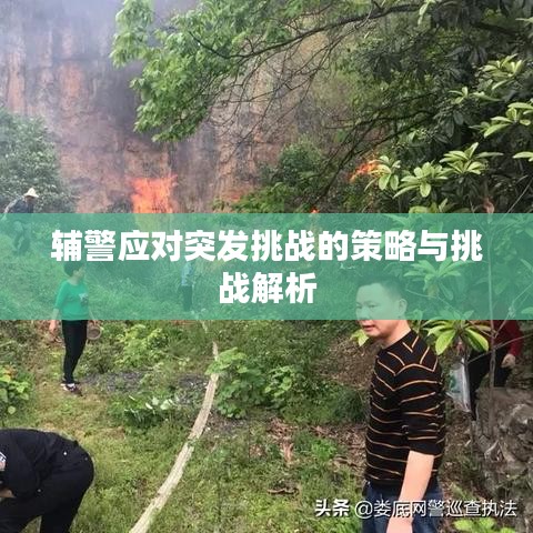 辅警应对突发挑战的策略与挑战解析