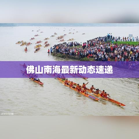 佛山南海最新动态速递