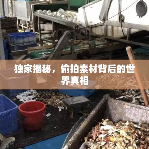 独家揭秘，偷拍素材背后的世界真相