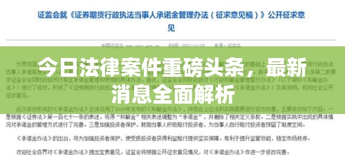 今日法律案件重磅头条，最新消息全面解析