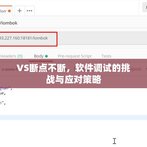 VS断点不断，软件调试的挑战与应对策略