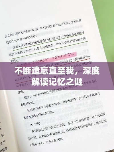 不断遗忘直至我，深度解读记忆之谜