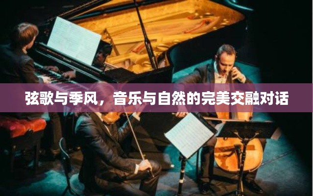 弦歌与季风，音乐与自然的完美交融对话