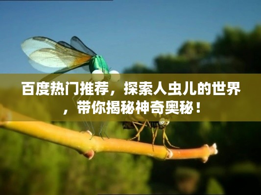 百度热门推荐，探索人虫儿的世界，带你揭秘神奇奥秘！