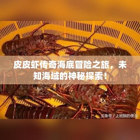 皮皮虾传奇海底冒险之旅，未知海域的神秘探索！