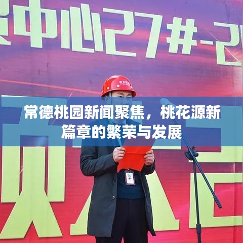 常德桃园新闻聚焦，桃花源新篇章的繁荣与发展