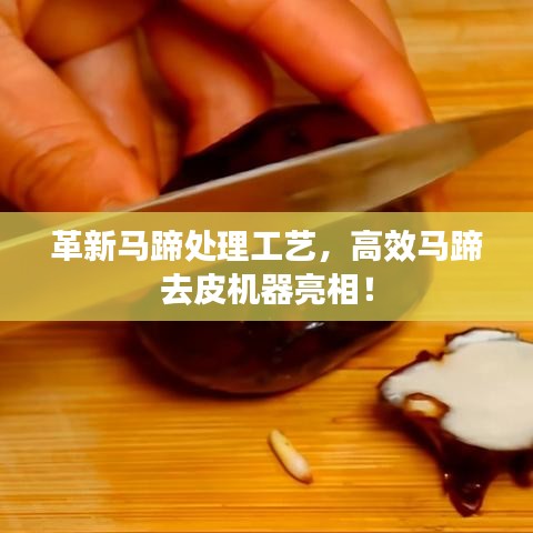 革新马蹄处理工艺，高效马蹄去皮机器亮相！