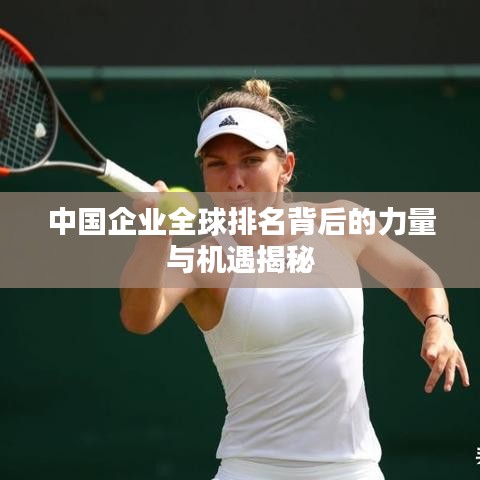中国企业全球排名背后的力量与机遇揭秘